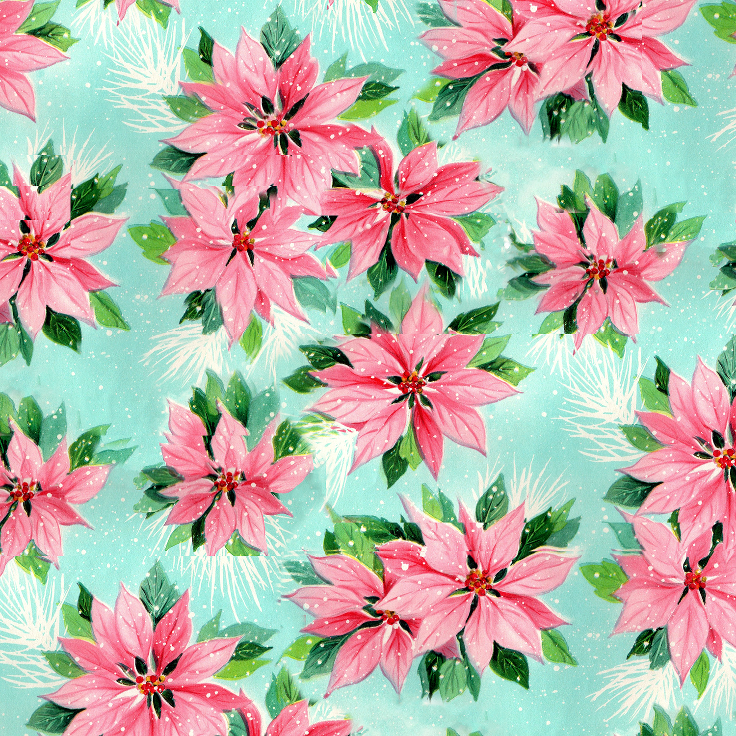 Poinsettias