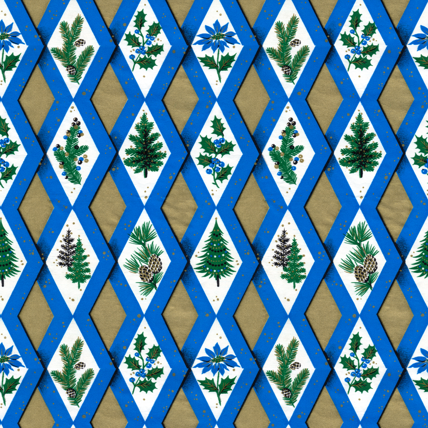 Blue Diamond Holly