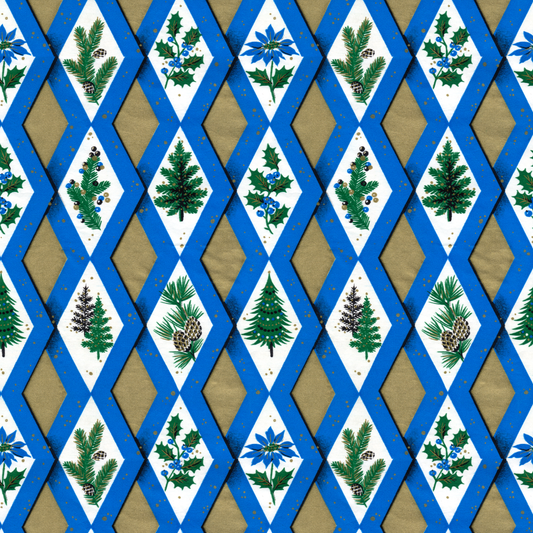 Blue Diamond Holly