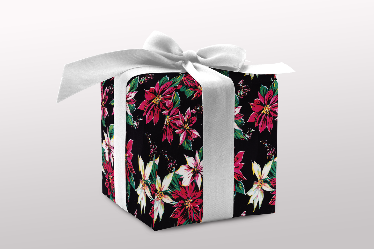 Assorted poinsettias on black
