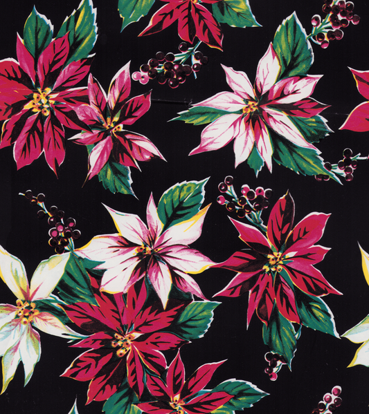 Assorted poinsettias on black