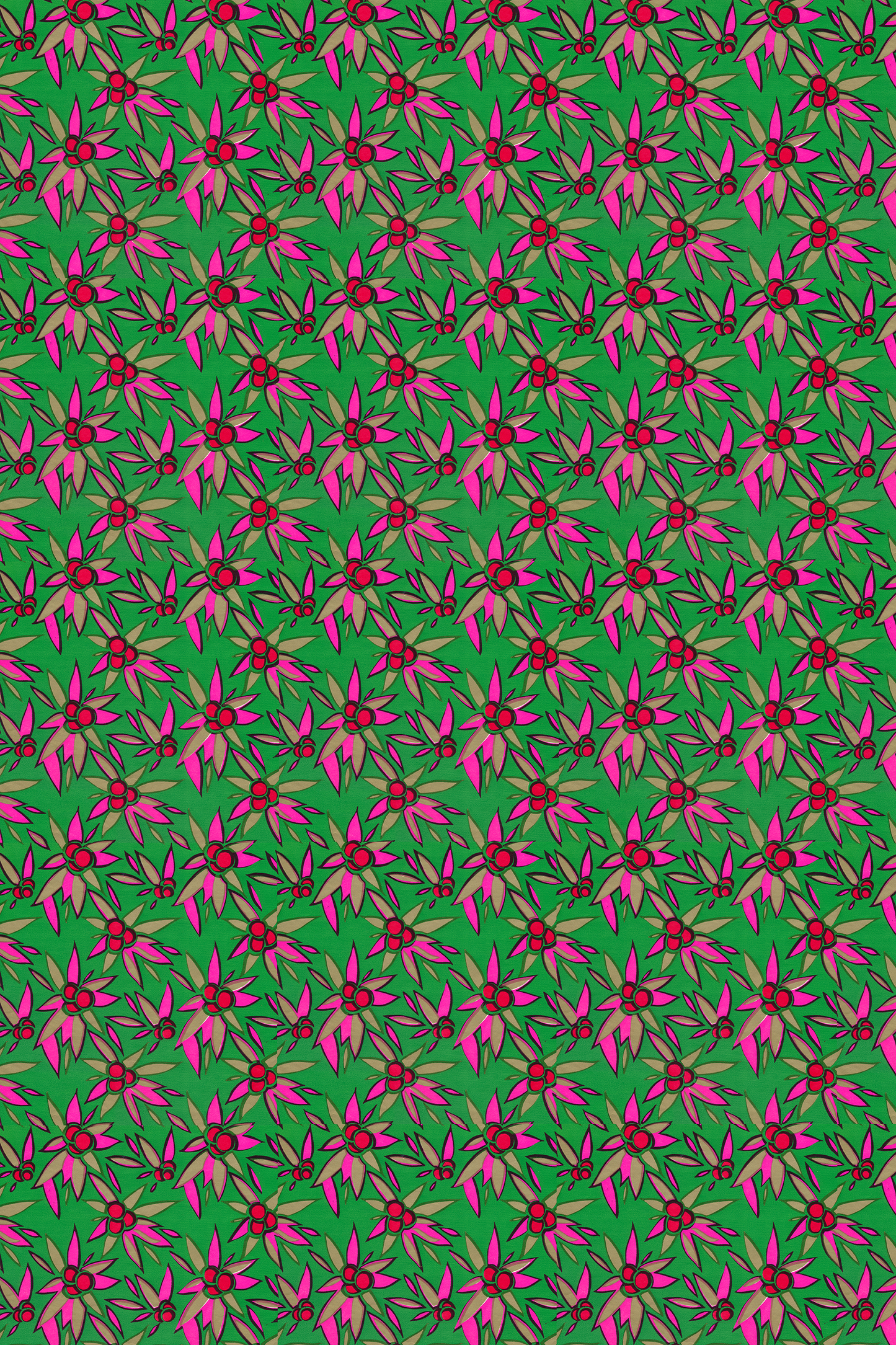 Acute Poinsettias